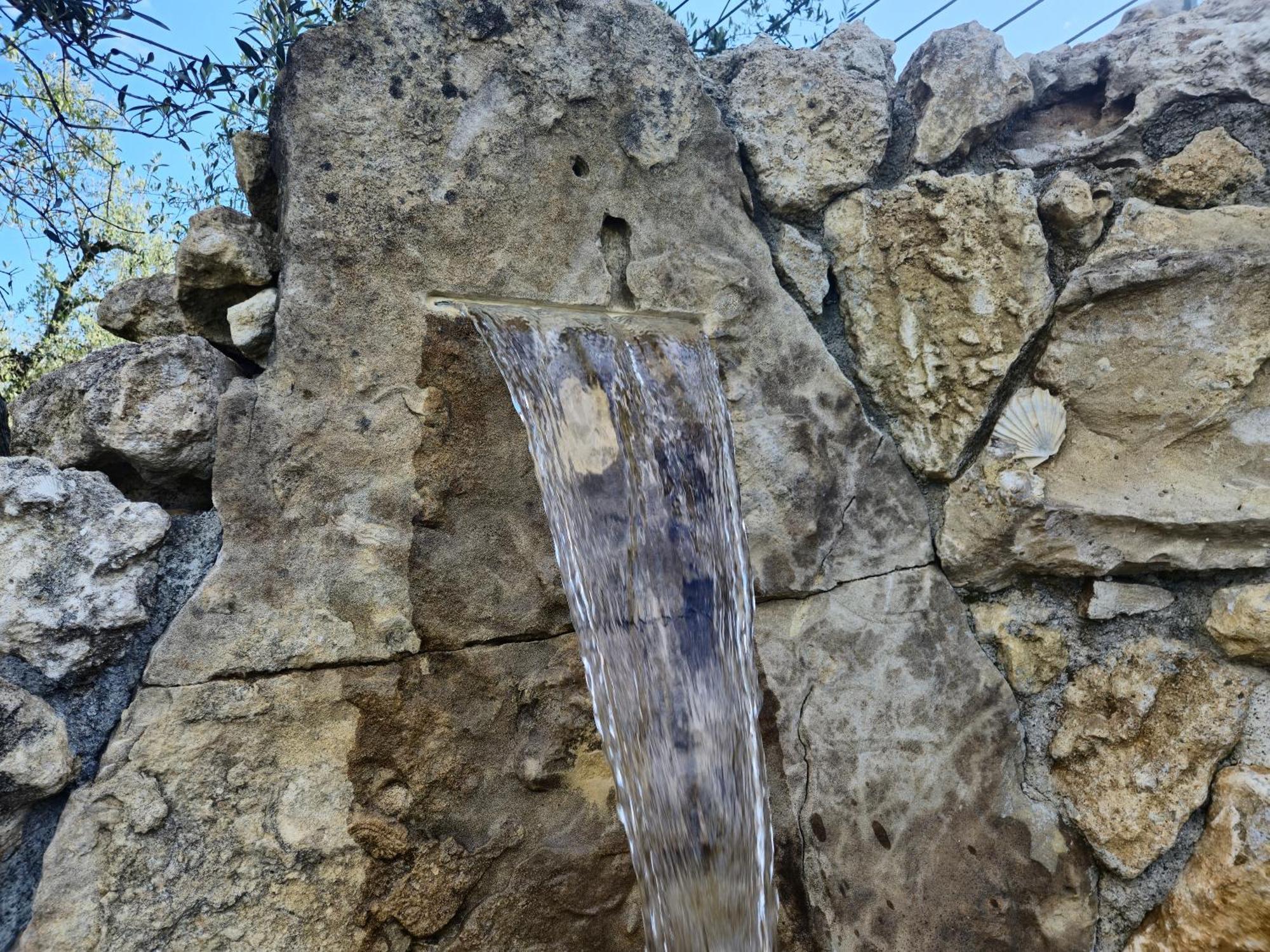 Agriturismo Ai Massi Casale Marittimo Bagian luar foto